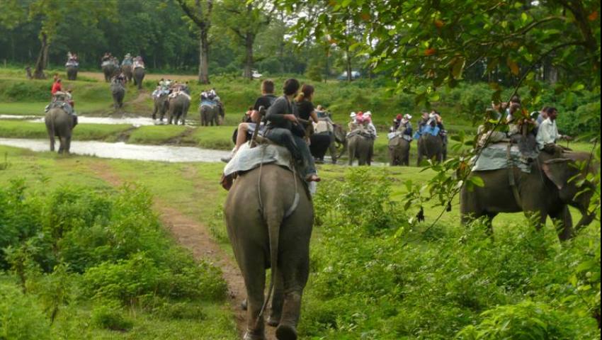 Chitwan National Park