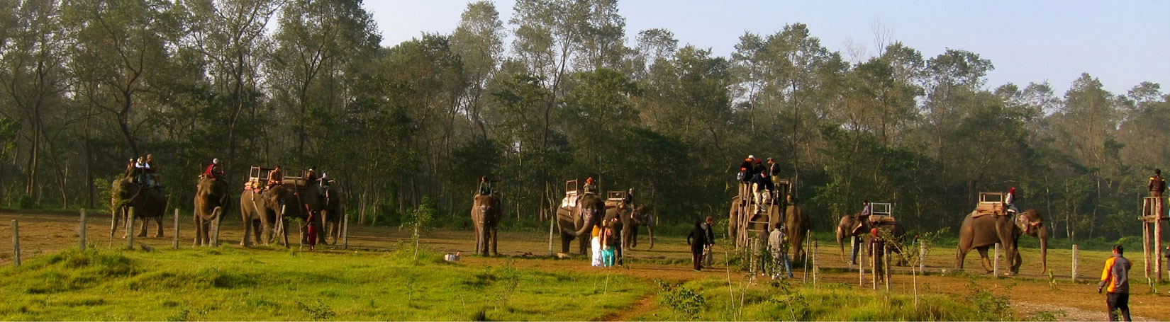 Jungle Safari in Nepal