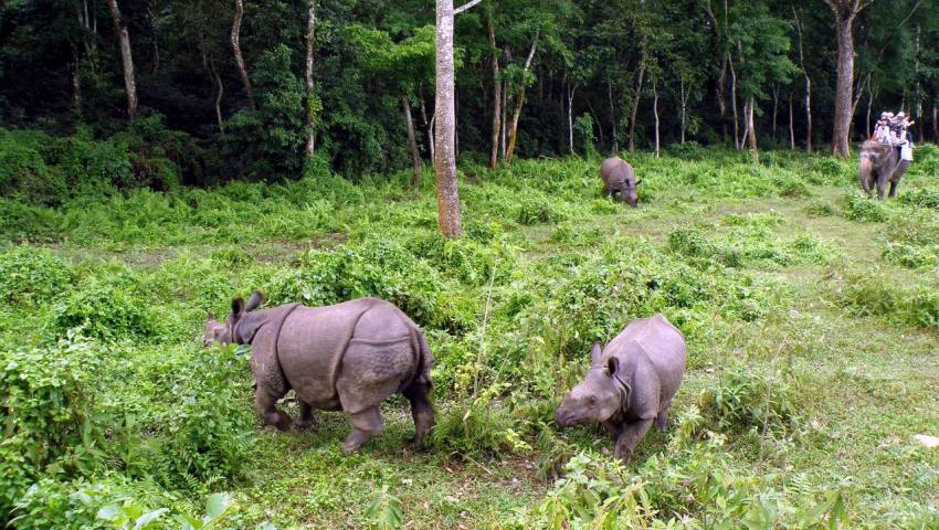 Royal Bardiya National Park