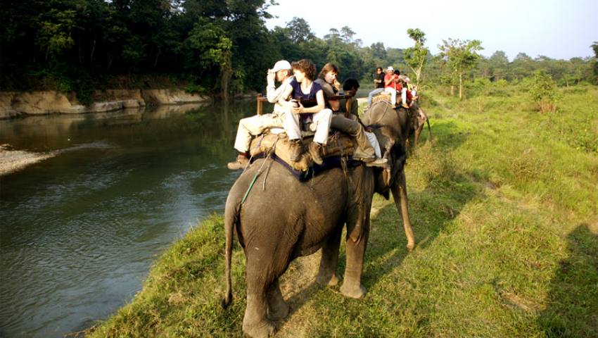 World Heritage sites and Jungle safari