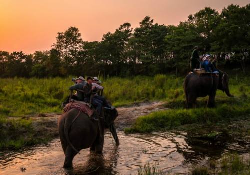 Jungle Safari in Nepal