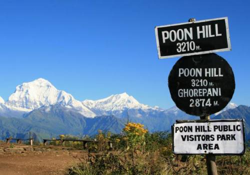 Kathmandu Sightseeing Tour/Trek Tour in Annapurna Panorama/Poonhill