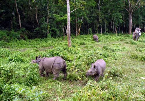 Royal Bardiya National Park