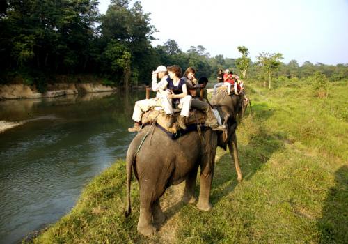 World Heritage sites and Jungle safari